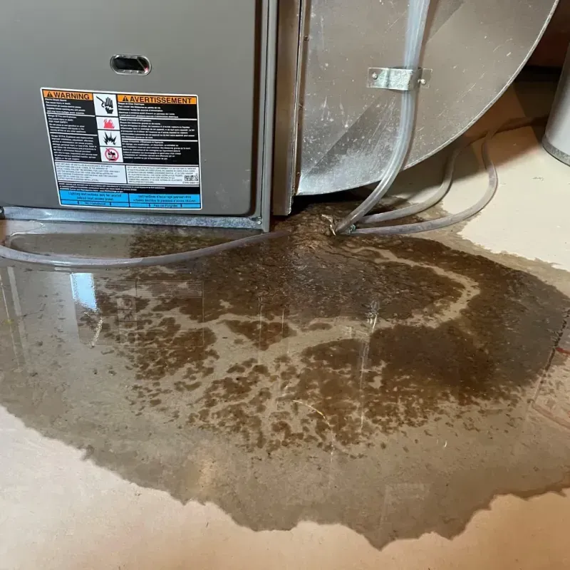 Appliance Leak Cleanup in Barboursville, WV